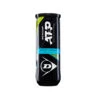 Dunlop ATP Championship Regular Duty Tennis Ball - Individual Can (3 Balls) 2 Dunlop ATP Championship Regular Duty Tennis Ball - Individual Can (3 Balls) -Nike Store ATP CHAMP BALL