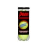 Penn Championship Extra Duty - Individual Can (3 Balls) -Nike Store Penn Championship Extra Duty Individual Can 3 Balls