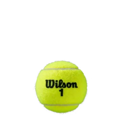 Wilson Roland Garros Clay - Individual Can (3 Balls) -Nike Store WRT125000 3 Roland Garros Official Ball